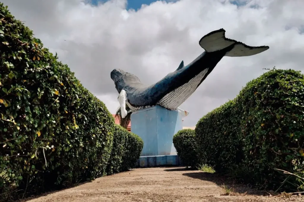 Blue Whale of Catoosa