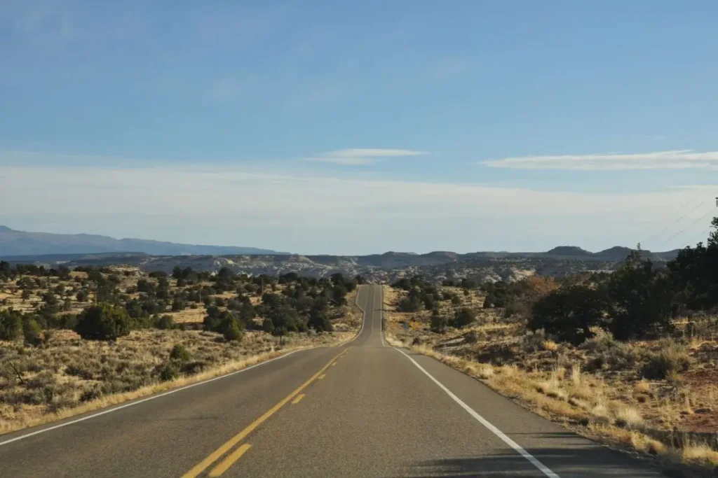 Empty desert highway spring wildflowers road trip